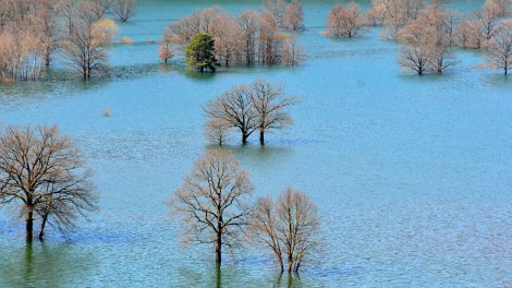 Planinsko polje, Eslovenia 6