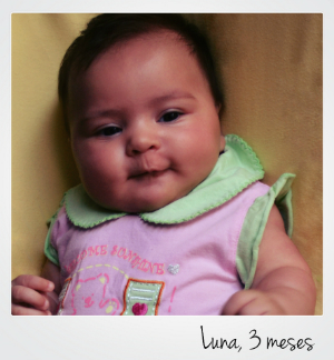 Luna, foto 3 meses, portugues p