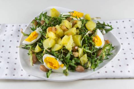 dente de leão, batata, ovos e feijão