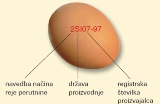 informações sobre o ovo